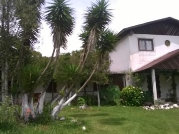 �rea � Venda